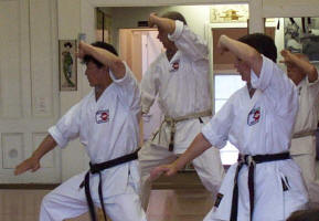 About_Karate_Kata