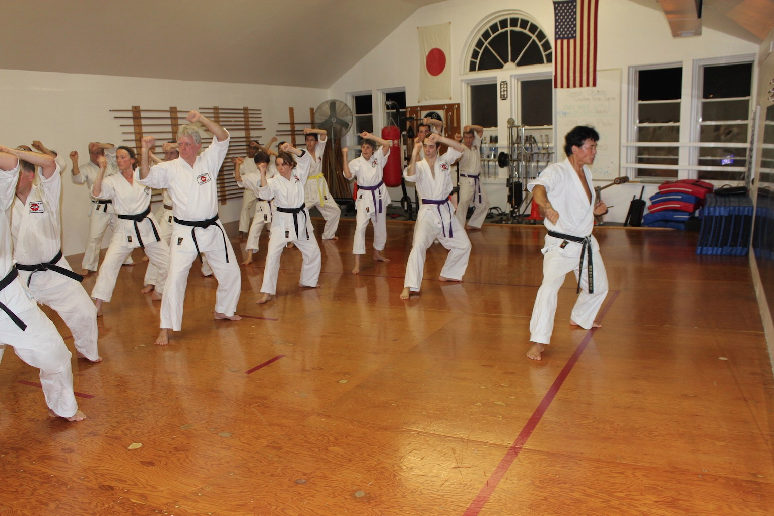 Karate_Class_Mt_Kisco_NY_Special_Training_Takahashi_Dojo