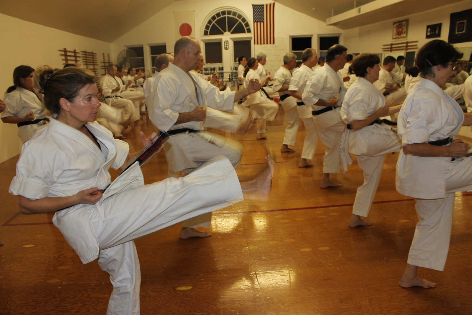 Karate_Class_Mt_Kisco_NY_Special_Training_Takahashi_Dojo_042317