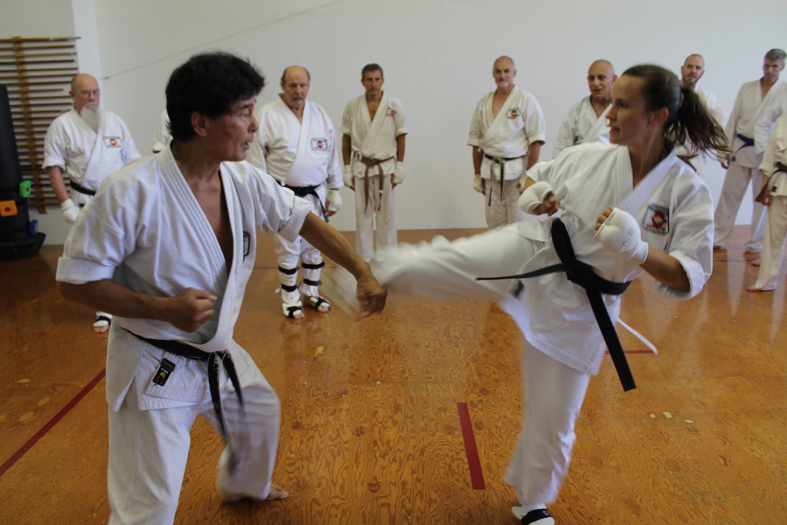 Karate_Class_Mt_Kisco_NY_Special_Training_Takahashi_Dojo