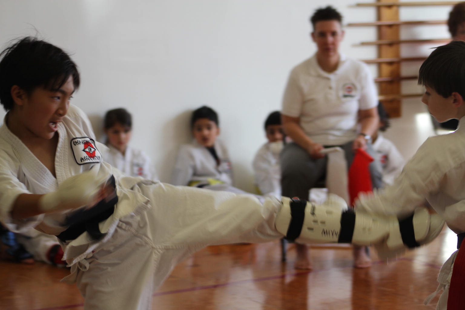 Takahashi Karate Childrens Tournament – 2014