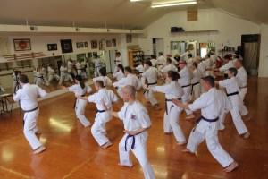 Practicing Ten No Kata Movement #5