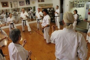Sensei Takahashi explaining Circle Fighting techniques